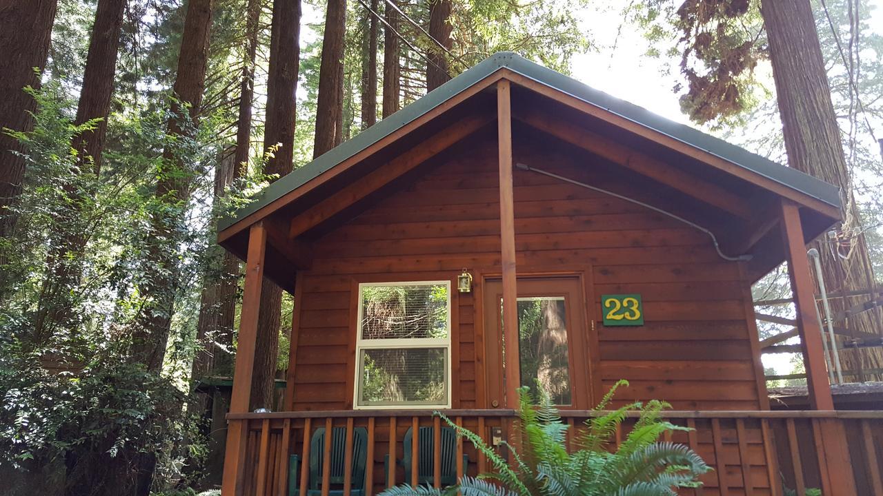 Emerald Forest Cabins Trinidad Eksteriør billede