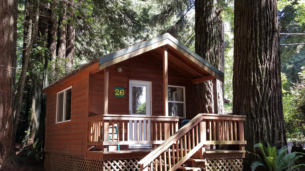 Emerald Forest Cabins Trinidad Eksteriør billede