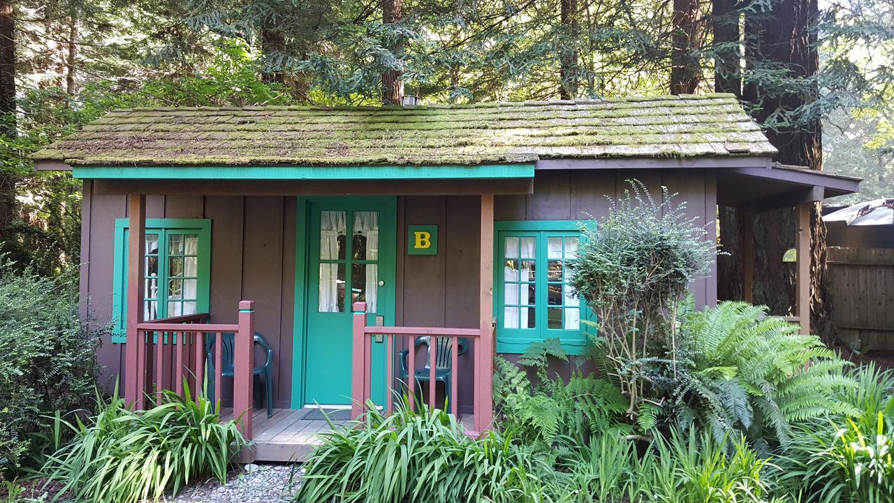 Emerald Forest Cabins Trinidad Eksteriør billede
