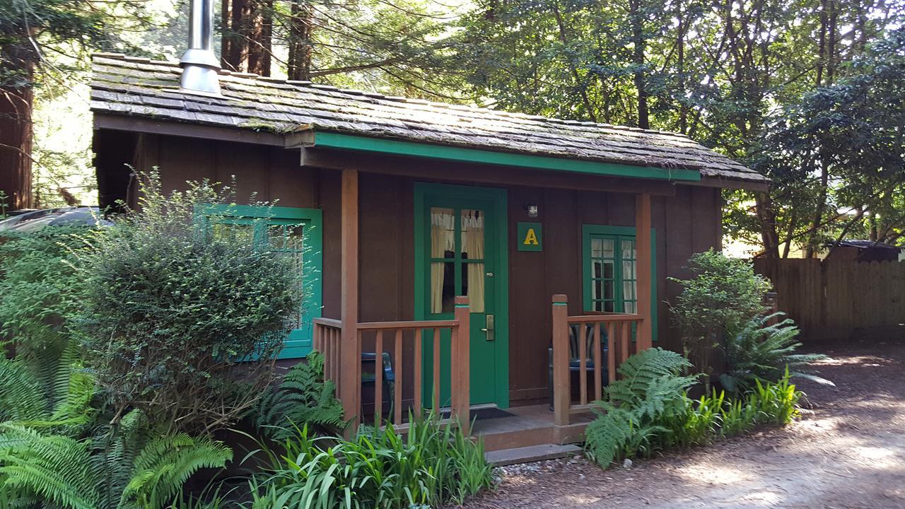 Emerald Forest Cabins Trinidad Eksteriør billede