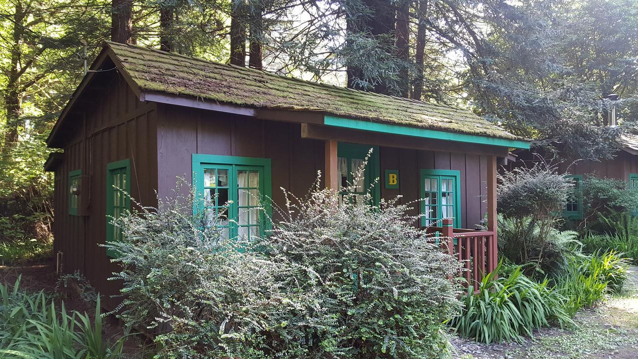 Emerald Forest Cabins Trinidad Eksteriør billede