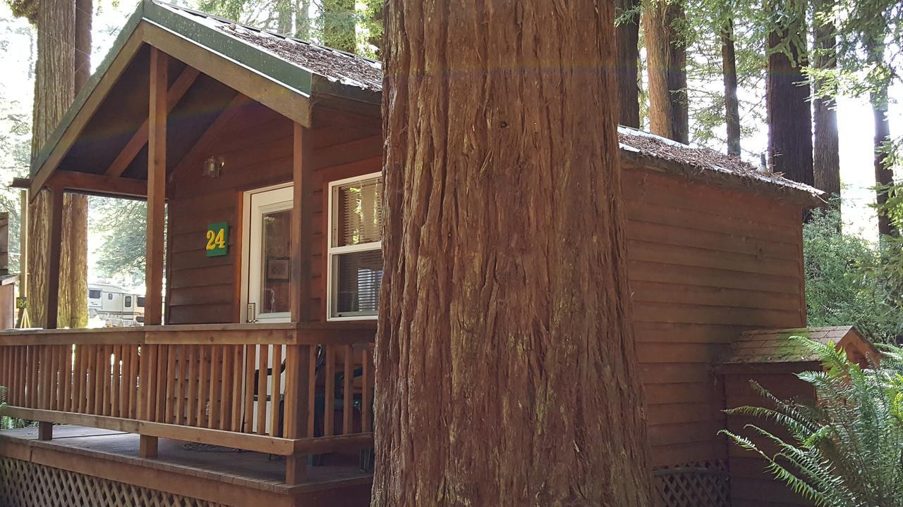 Emerald Forest Cabins Trinidad Eksteriør billede
