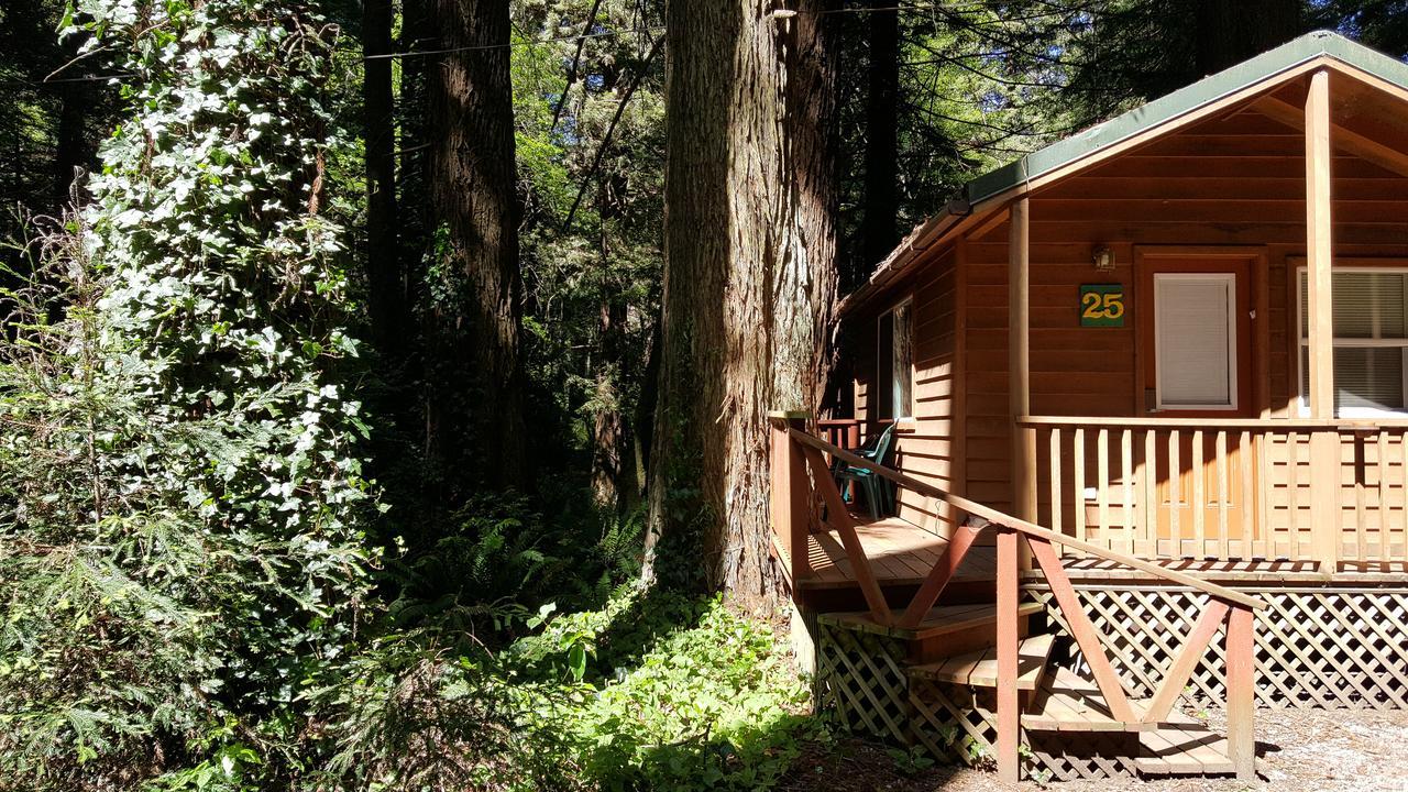 Emerald Forest Cabins Trinidad Eksteriør billede