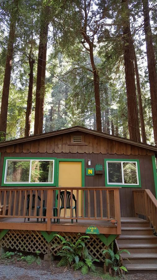 Emerald Forest Cabins Trinidad Værelse billede