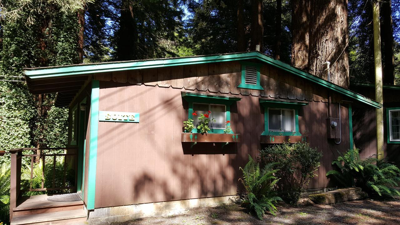 Emerald Forest Cabins Trinidad Værelse billede