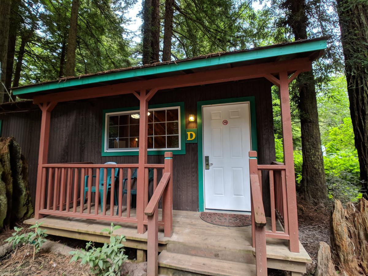 Emerald Forest Cabins Trinidad Eksteriør billede