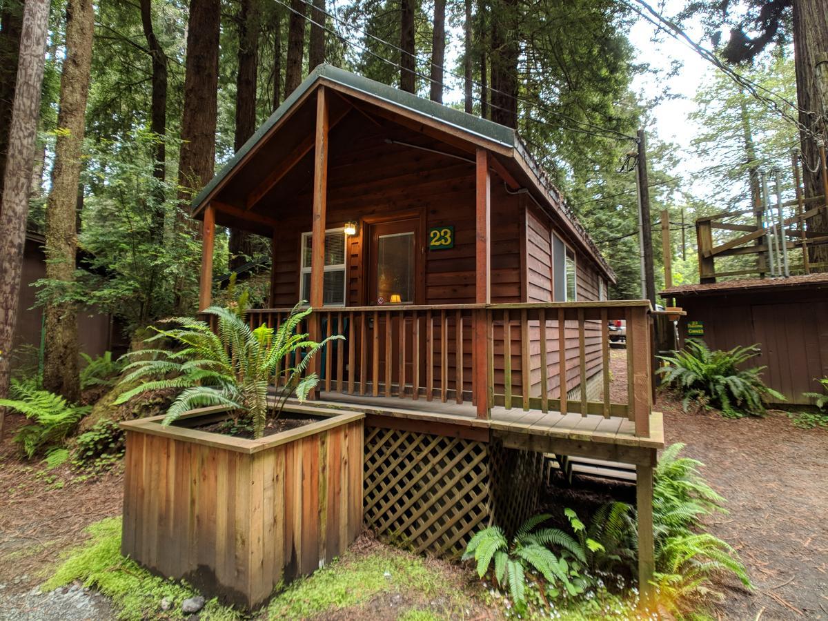 Emerald Forest Cabins Trinidad Eksteriør billede