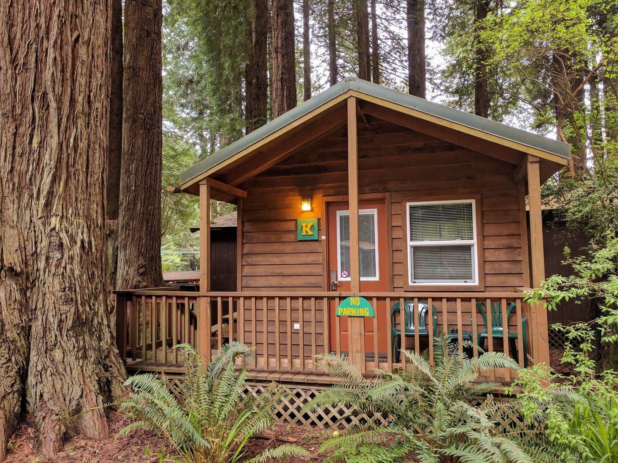 Emerald Forest Cabins Trinidad Eksteriør billede